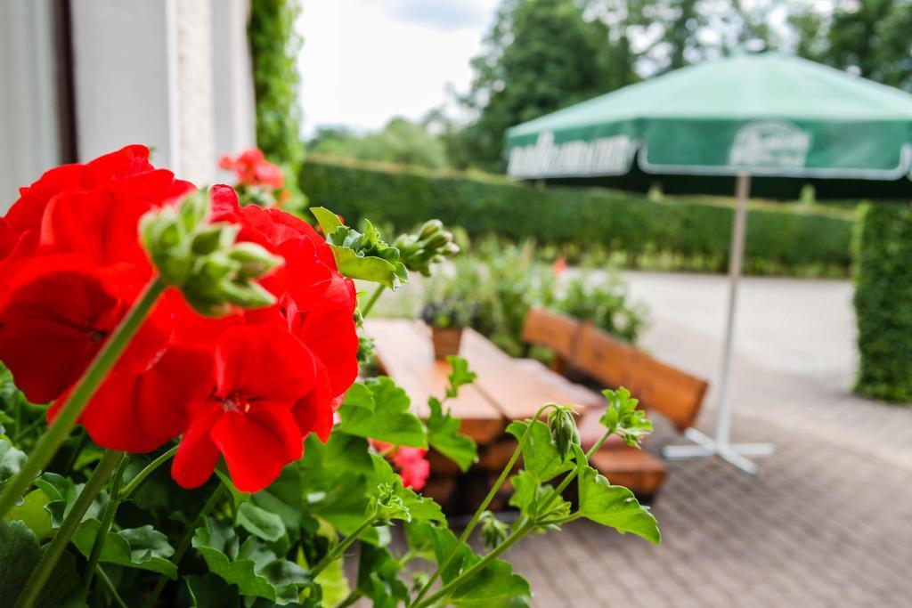 Hotel Vogtland バート・エルスター エクステリア 写真